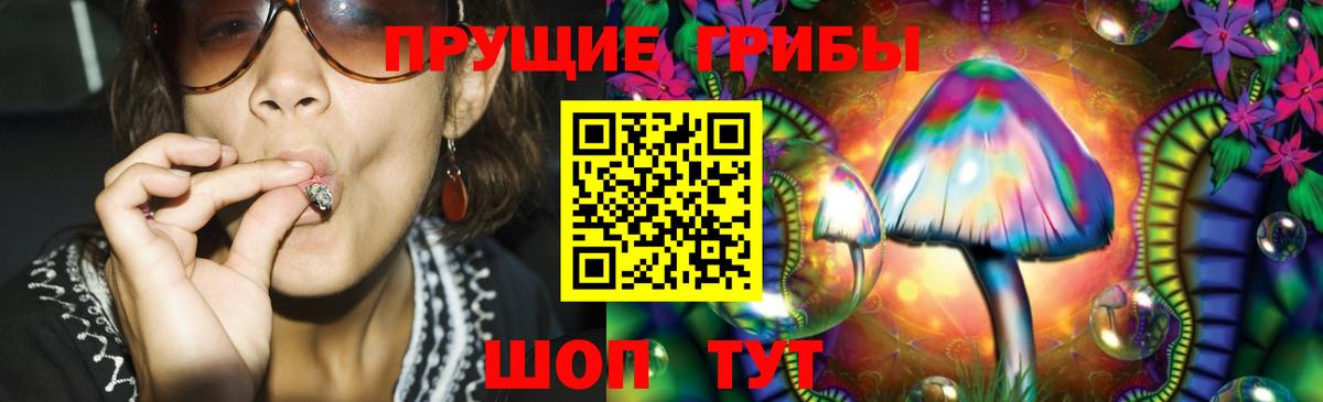 Шахты  Галлюциногенные грибы Magic Shrooms  Вход с VPN 