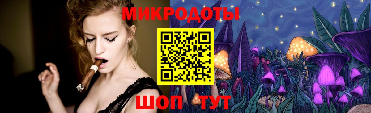Псилоцибиновые грибы Psilocybine cubensis Шахты